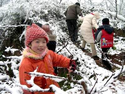 ��Ӱ ��־��